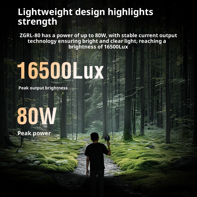 ZGRL80 80 W COB-Handvideoleuch – Outdoor Lighting Video Shooting Bewertung und Preis